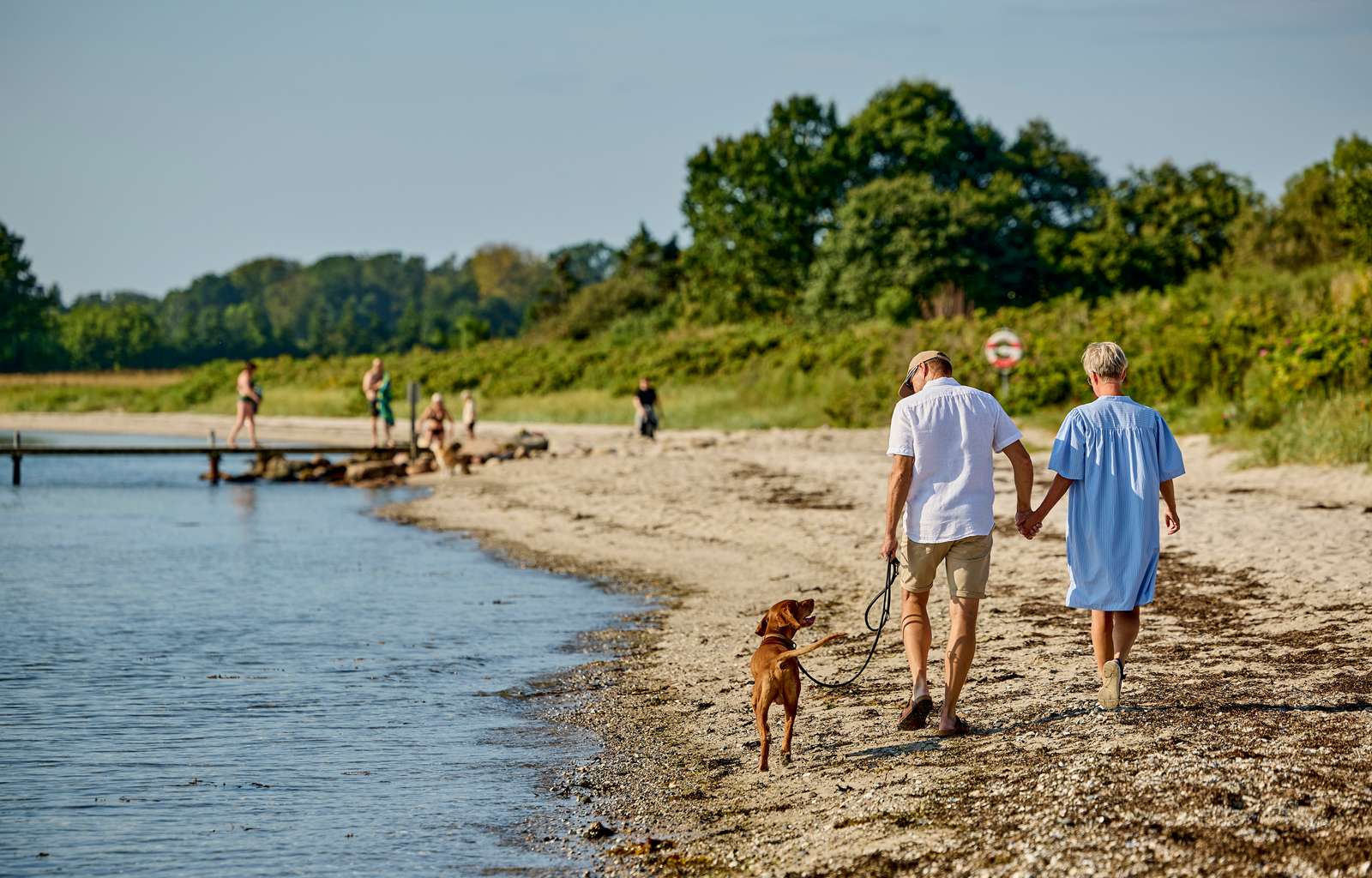 Et par går tur med deres hund på Hølken Strand