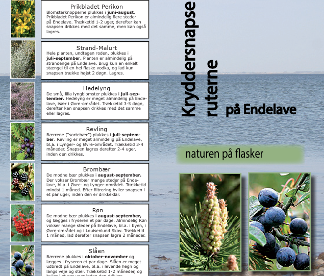 Et screenshot af forsiden på folderen Kryddersnapseruterne på Endelave