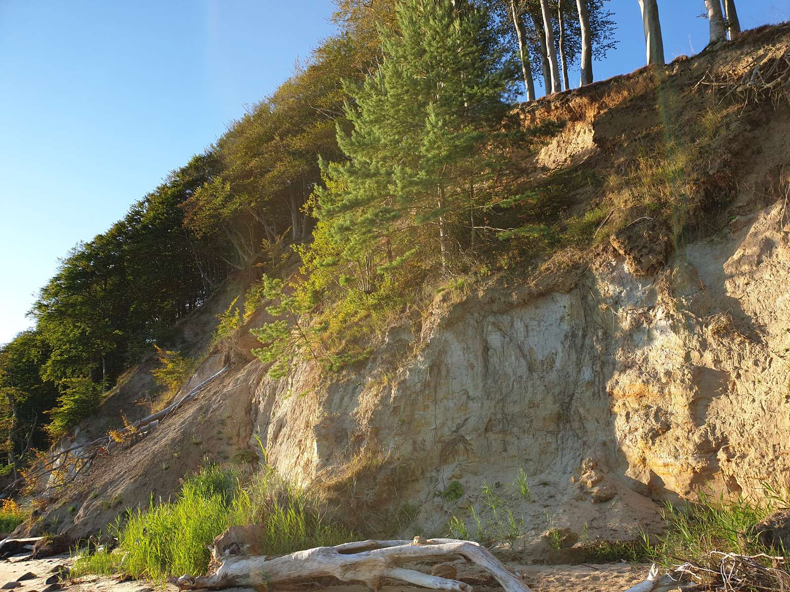 Klint ved Stenhøj Strand