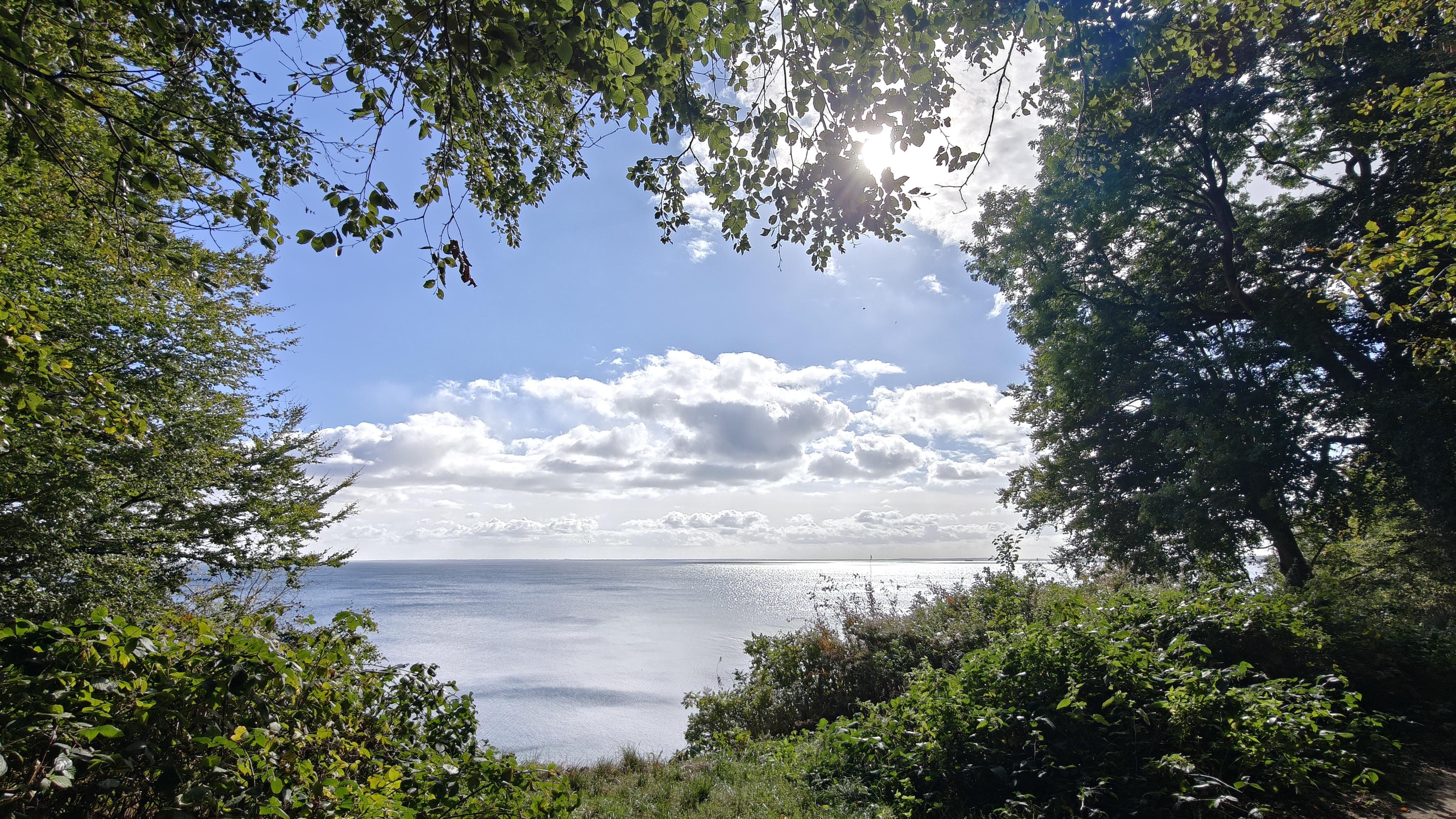 Udsigt over Vejle Fjord fra Staksrode Skov