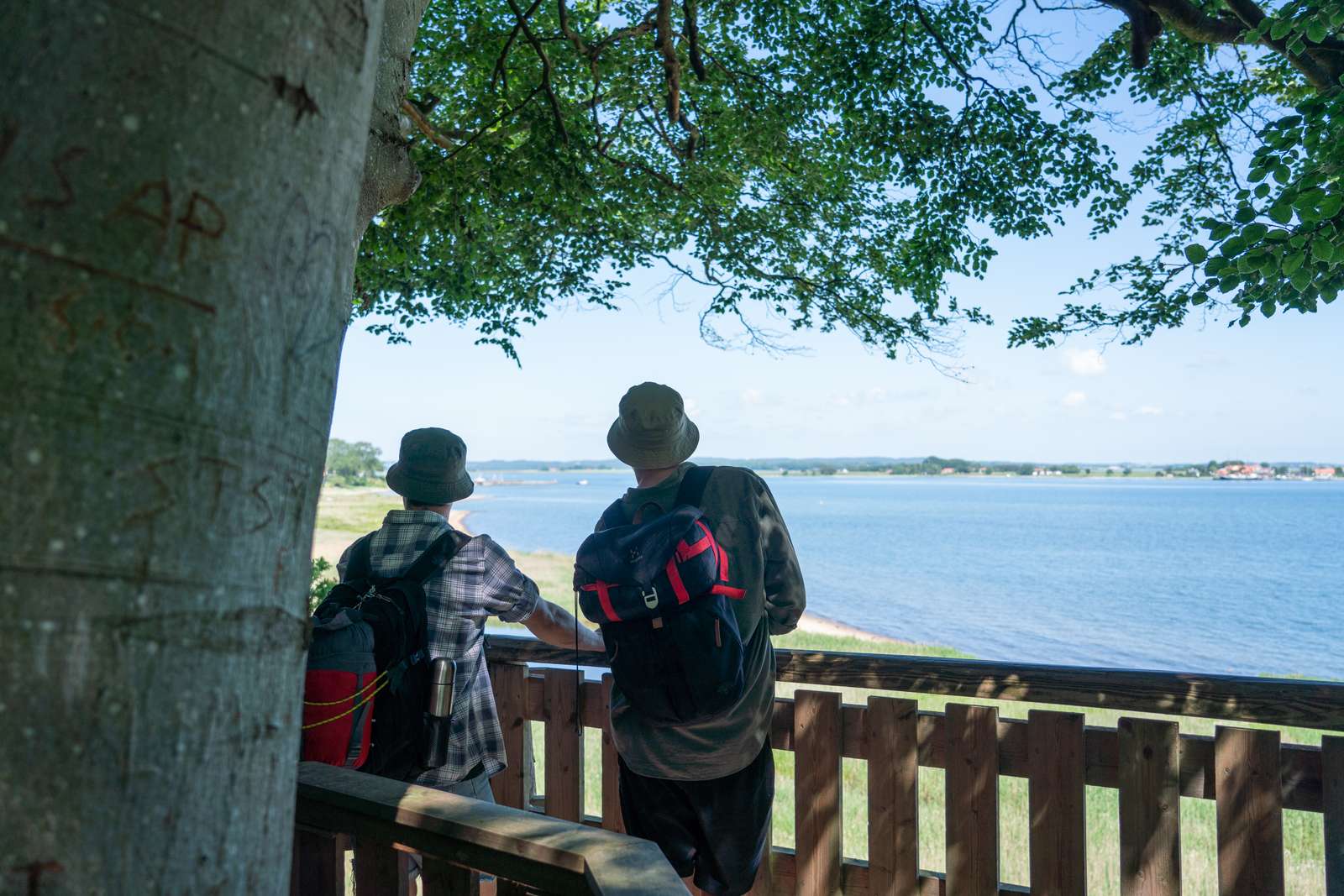 To mænd kigger på havet fra udsigtstårnet i Tønballe Skov