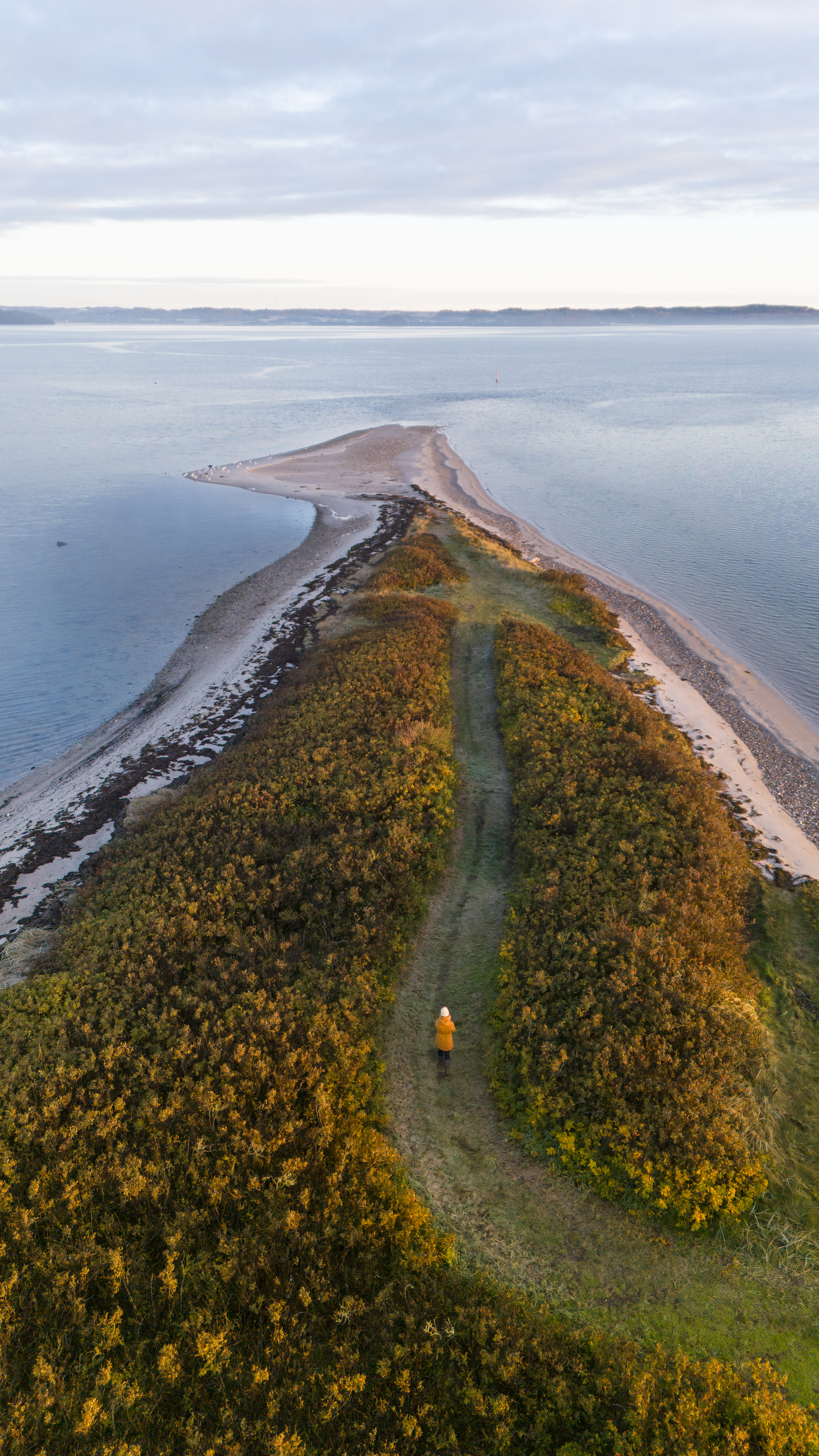 Kvinde står på Borre Knob i efteråret