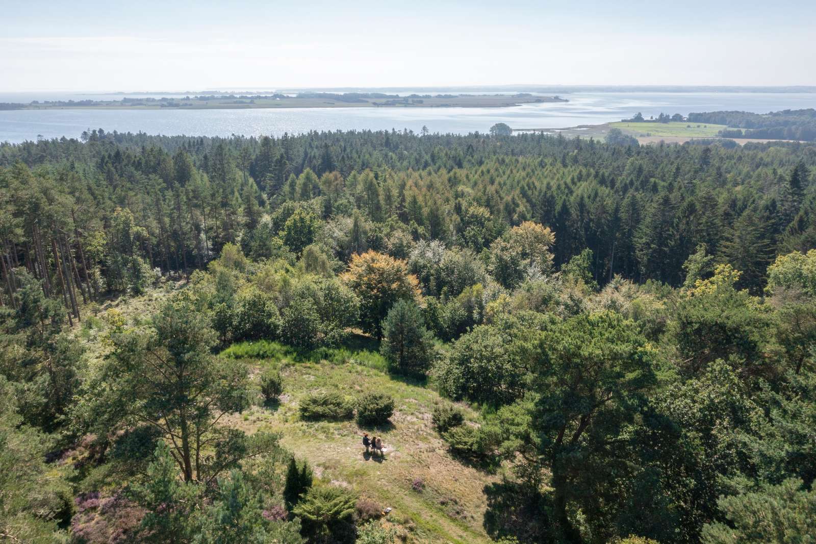 Dronefoto af Sondrup Bakker og Horsens Fjord i baggrunden