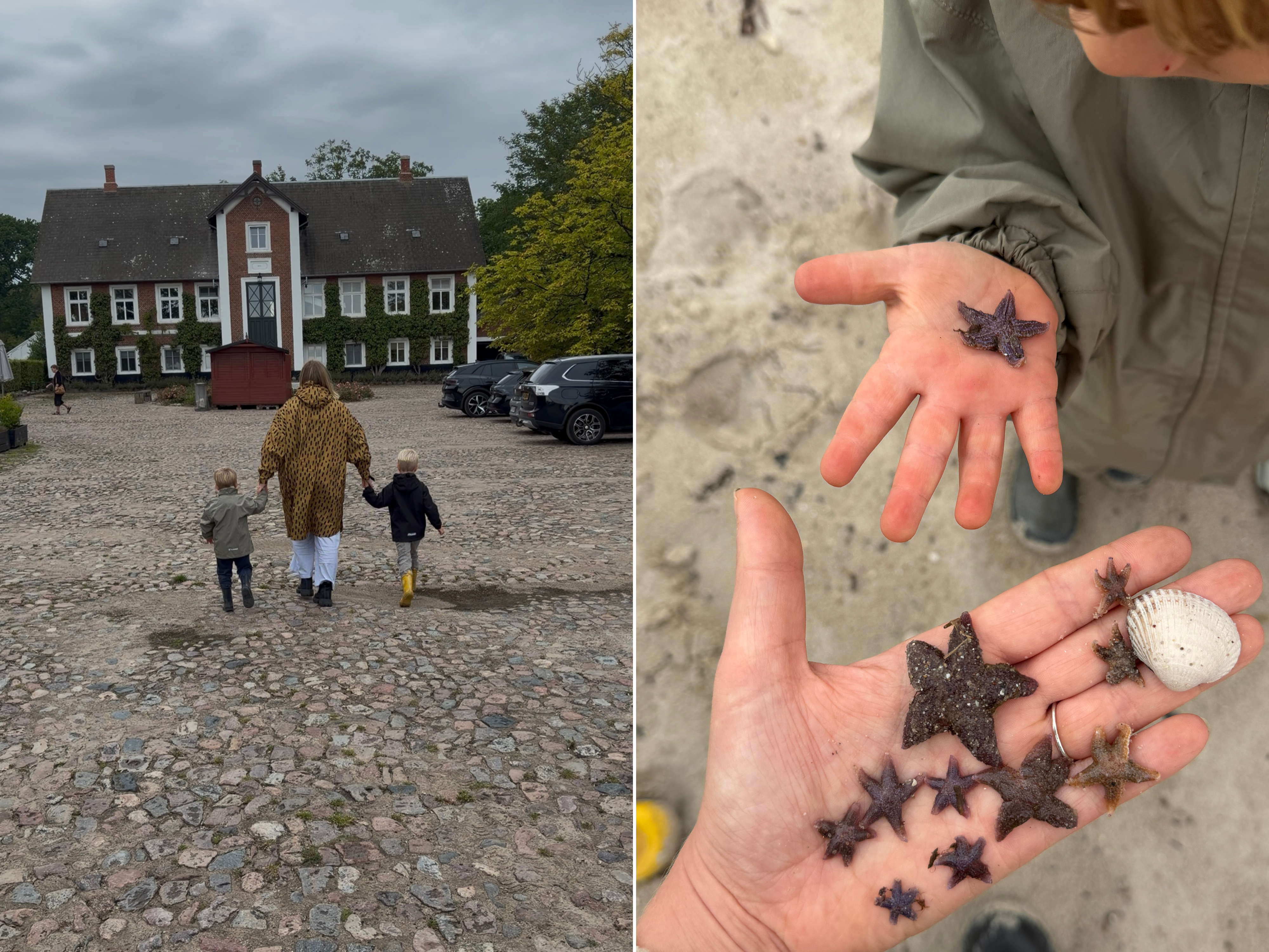 Til venstre: En kvinde går med sine to børn i hånden mod en rød bygning. Til højre: Mor og barn holder søstjerner og muslingeskaller i hånden på stranden