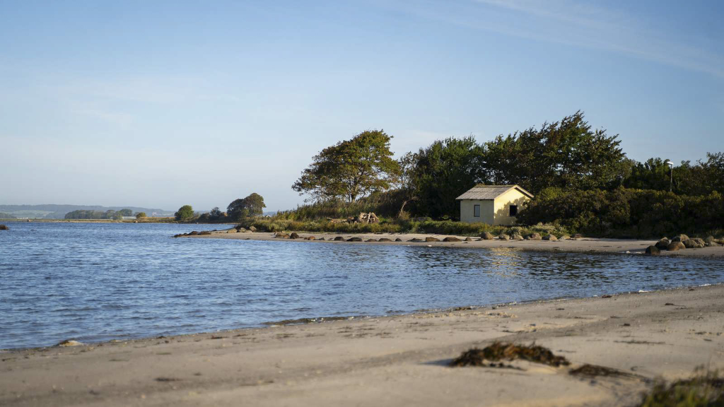 Et billede af kysten ved Hjarnø fra stranden nær havnen
