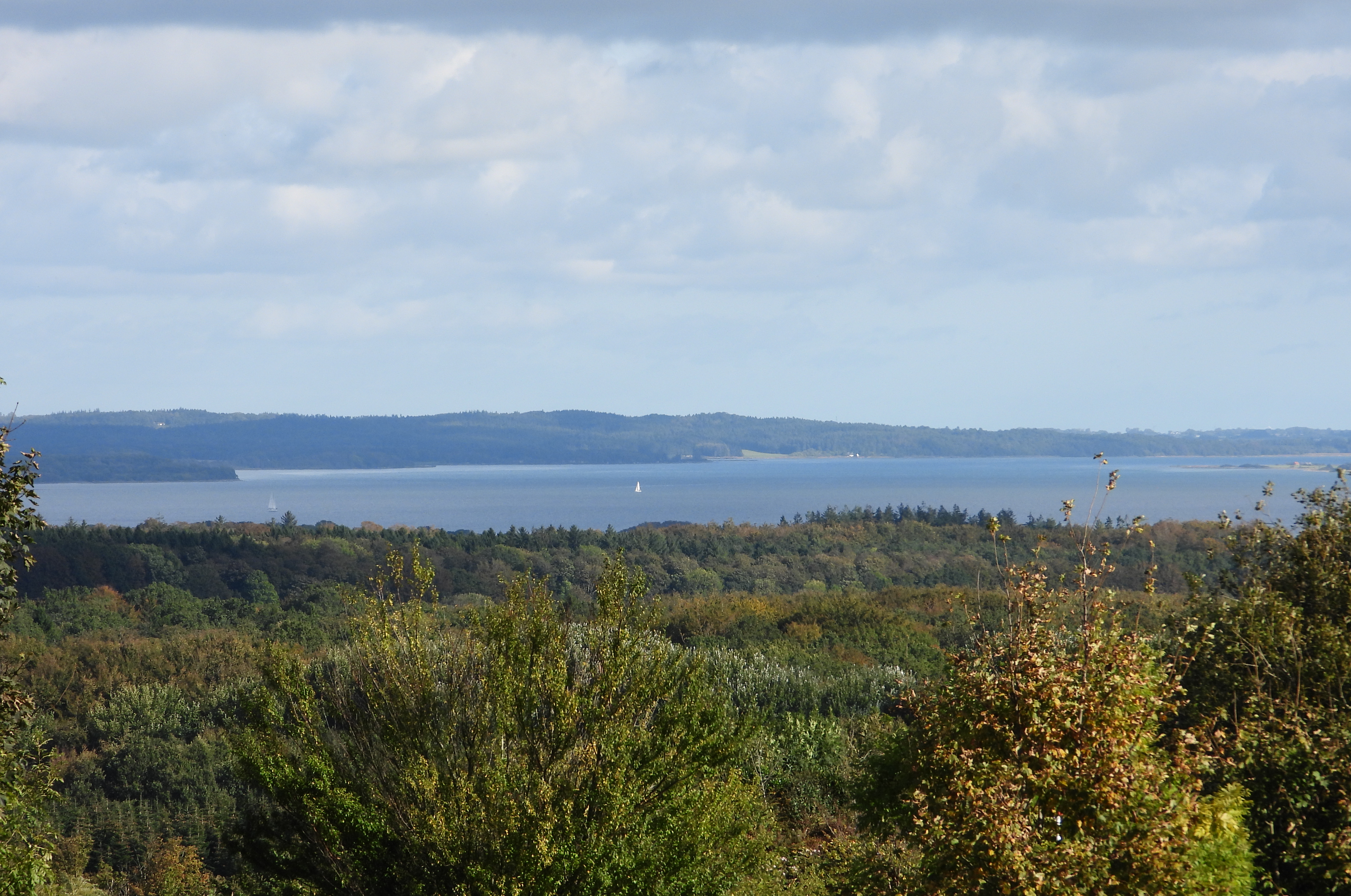 Udsigt over Horsens Fjord fra Purhøj