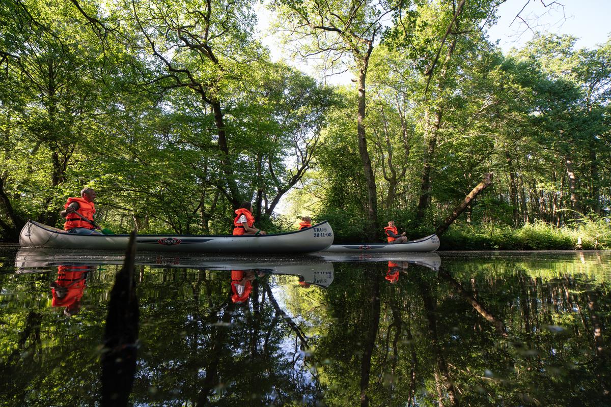 overbelastning bibliotekar vi Canoeing on the river Gudenåen | Destination Kystlandet