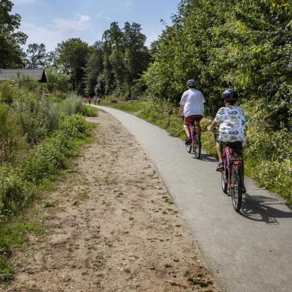 Two on a cycle ride on the Nature Trail Horsens-Silkeborg