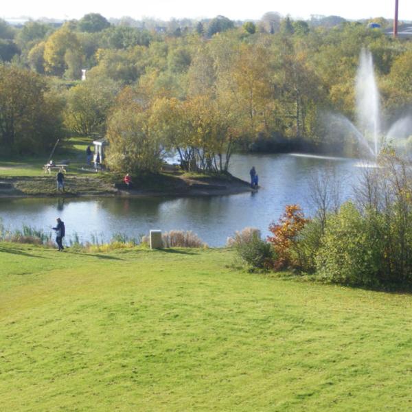 Aerial photo of the fishing lakes at Hedensted Put & Take