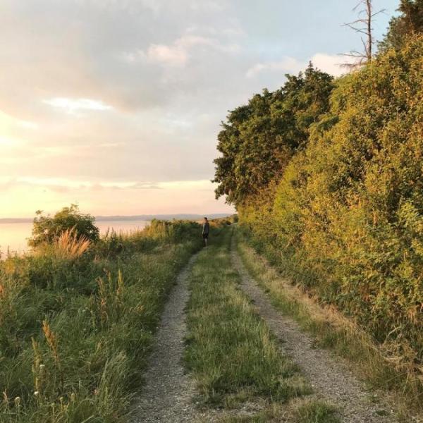 Man on a hiking trail at Borre Knob by Horsens Fjord
