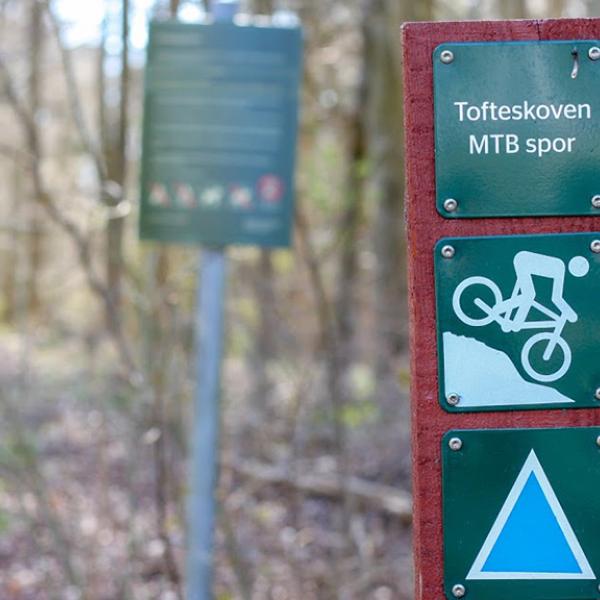 Blue trail sign on the mountain bike route in Tofte Forest in Juelsminde