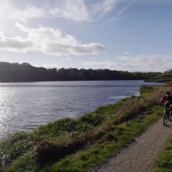 A group of mountain bikers by Bygholm Lake