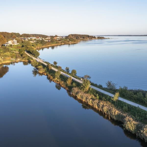 Vandrere ved Horsens Fjord