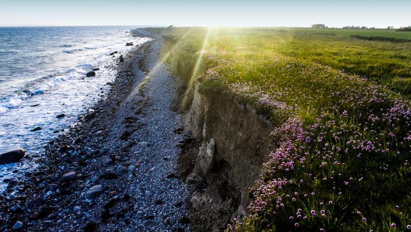 The beach at Endelave island