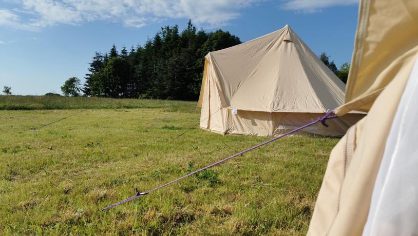 Glamping tents at Holmely