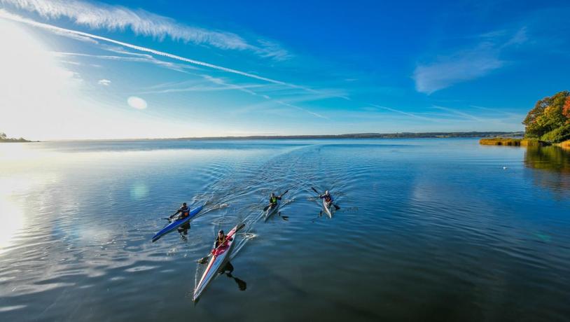 Kayakers in Horsens Fjord