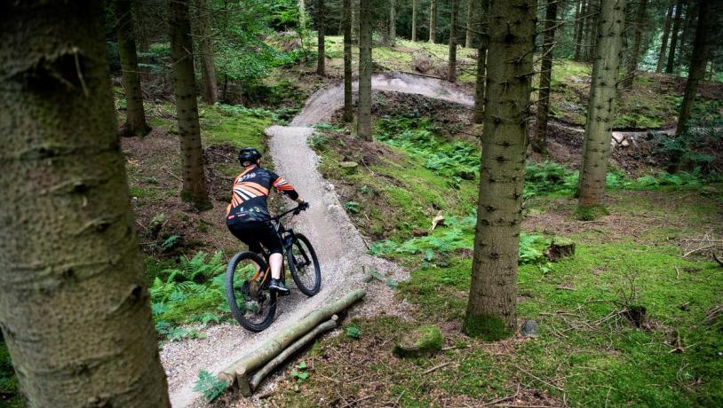 Mountain bike trail in Bjerre Forest