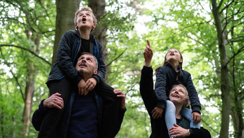 Family walks in Staksrode forrest