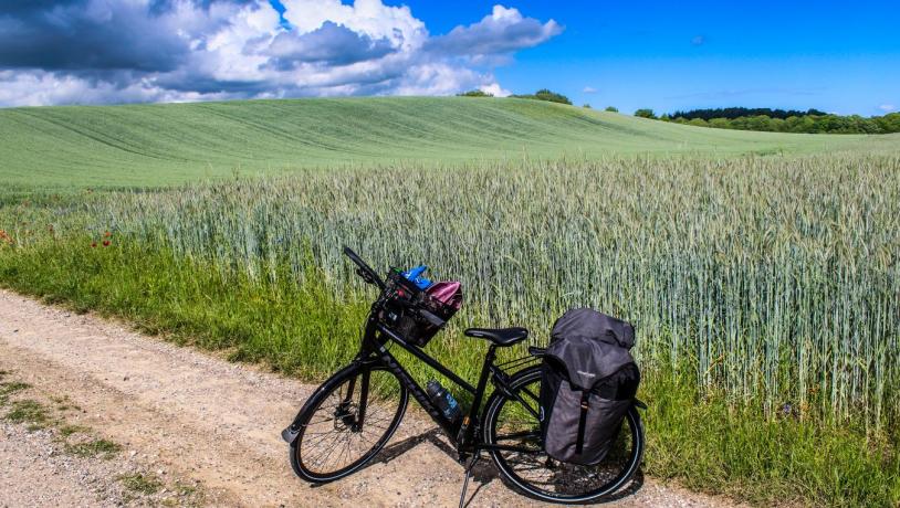 Bicycle in rolling field landscape at Horsens Fjord