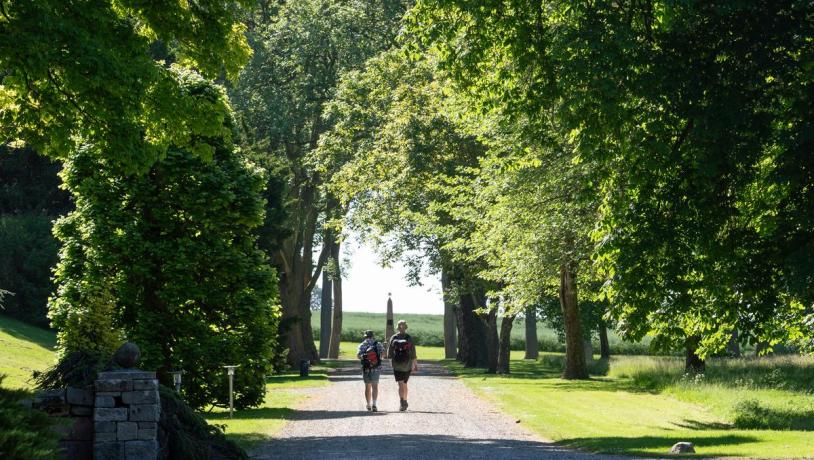 The park at Palsgaard Manor in Juelsminde 