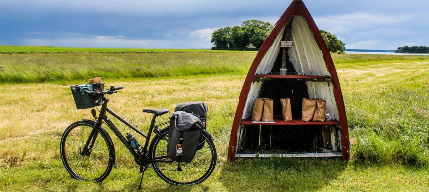 Bicycle and roadside food stall by the inlet Horsens Fjord