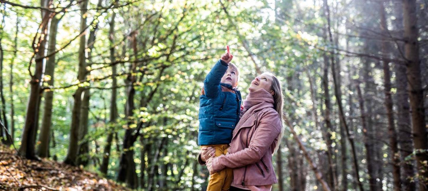 Boy is pointing at the trees in a forrest in the coastal land