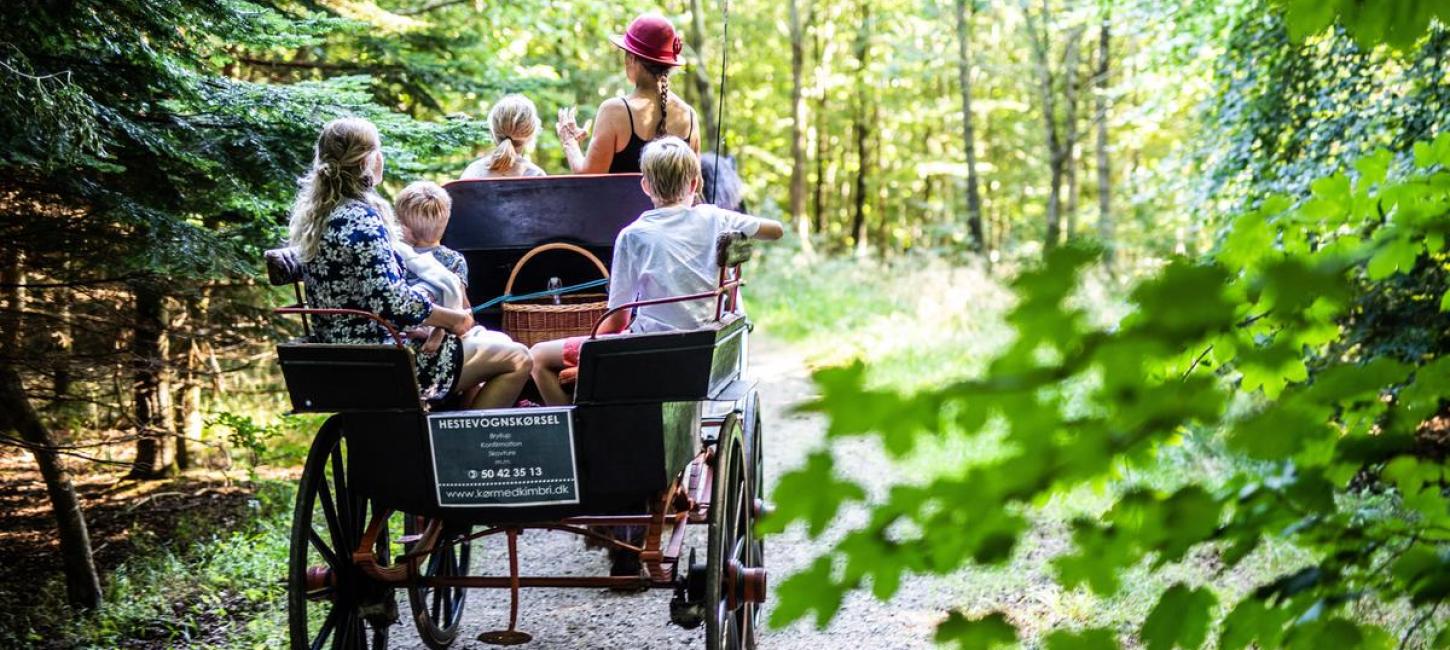 horse-drawn carriage ride with Kimbri through Fløjstrup forest