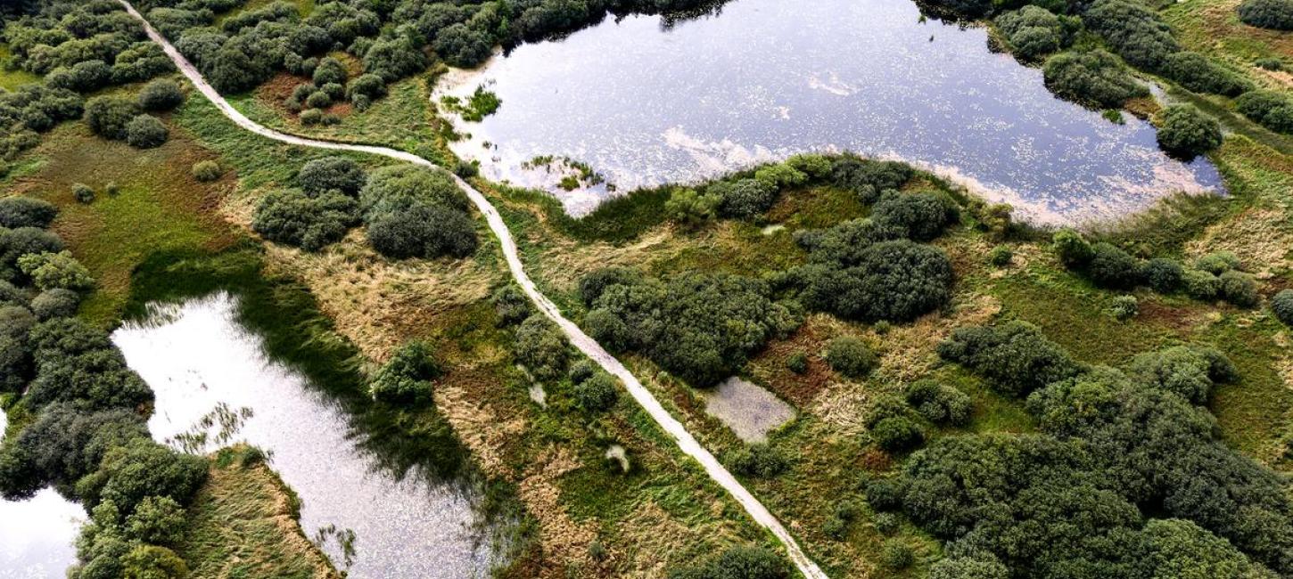 Drone photo of Uldum marsh