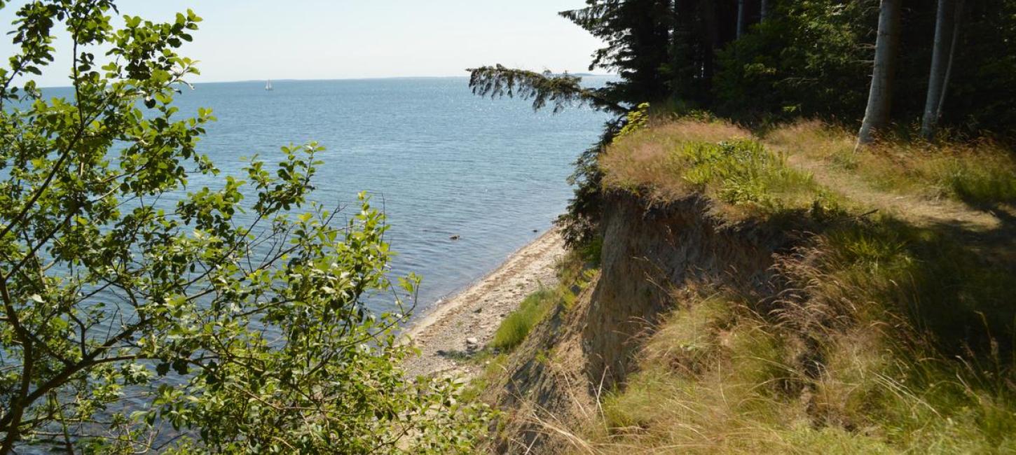 Snaptun-Juelsminde Coastal Path