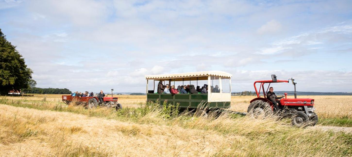 Red tractor guided tour on Hjarnø