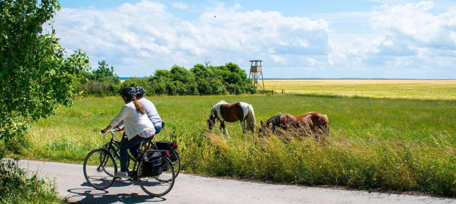 Two cyclists on the island of Endelave