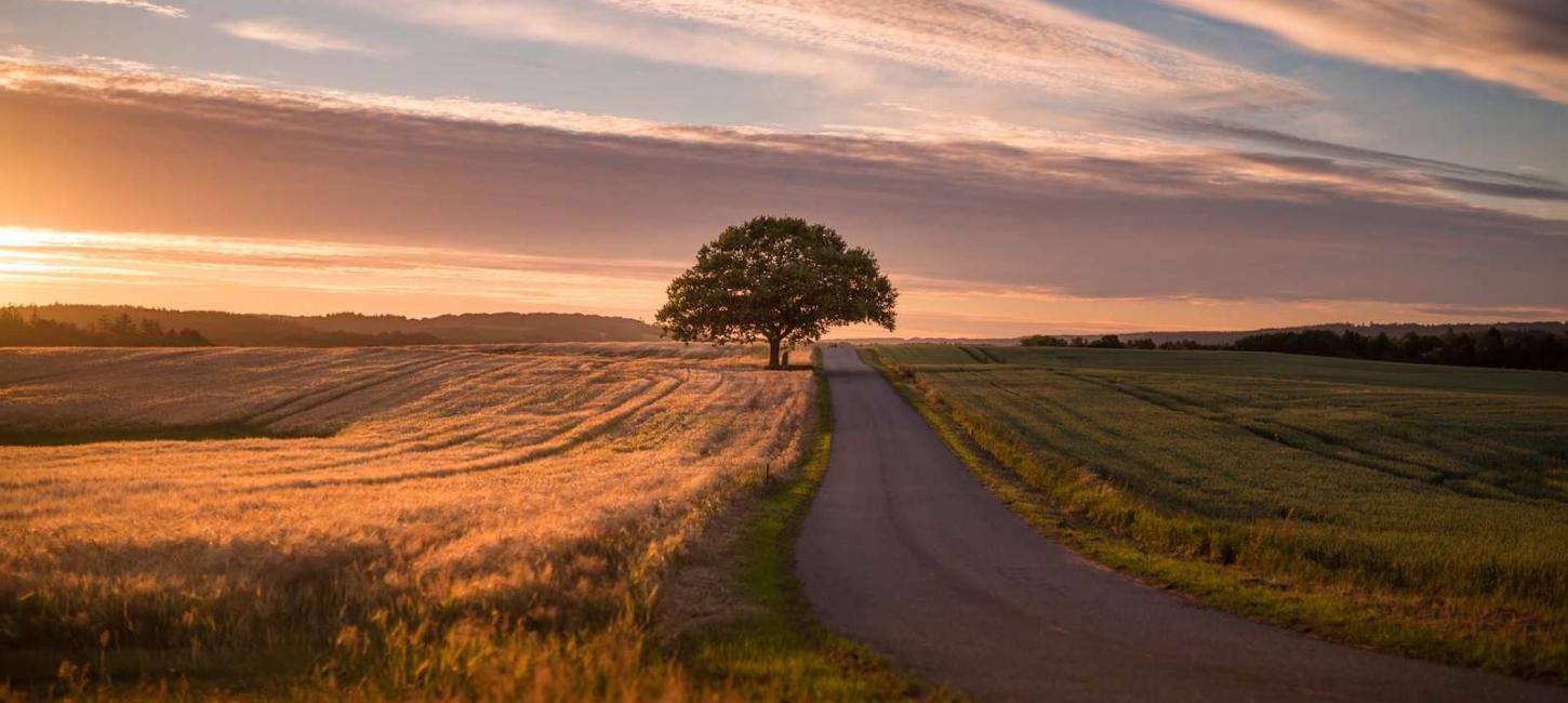 Bakkelandet - a part of Destination Coastal Land