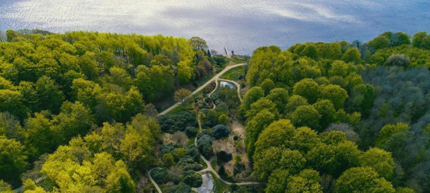 The park and treatment paths at Hotel Vejlefjord seen from above