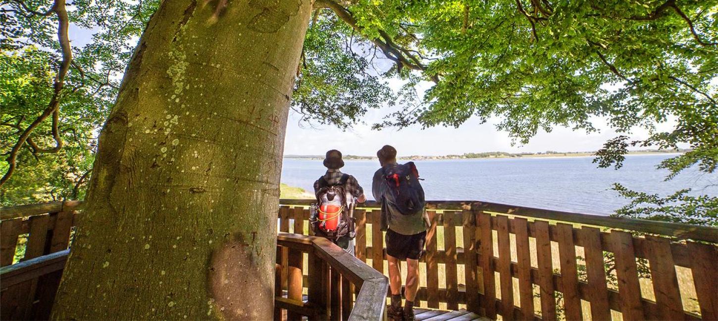 Two men enjoy the view of Horsens Fjord from the observation tower by the Coastal Path