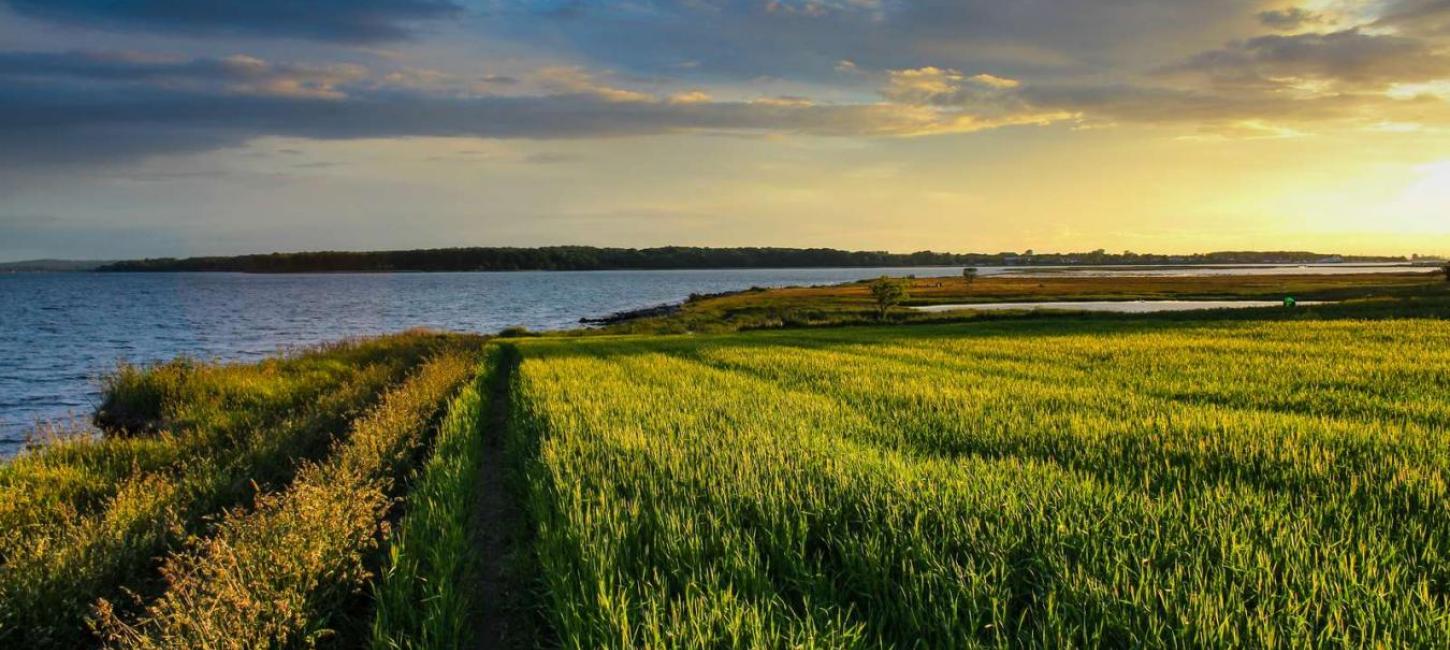 Sunset over a field on Hjarnø