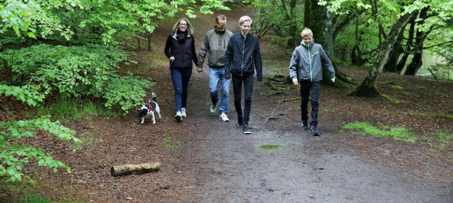 A family taking a walk in the forest with the dog