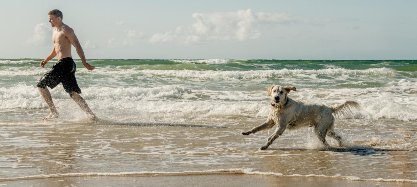 Mand i badeshorts i vandkanten med lys labradoMan in swimming shorts on the water’s edge with light Labrador dogrhund