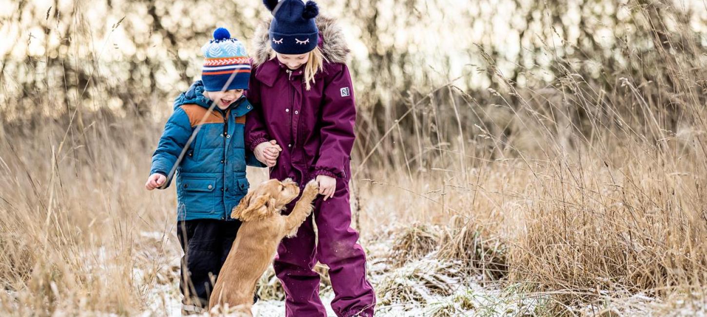 To børn leger med en hund i sne i Kystlandet