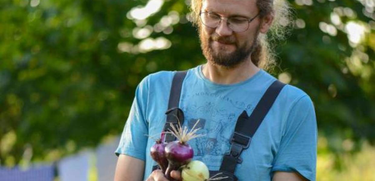 Søren from Brandbygegaard shows fine newly harvested onions in the garden near Alrø in Odder