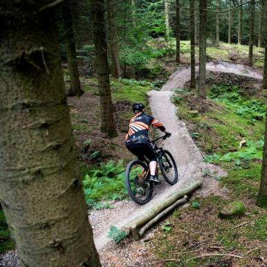 Man riding a mountain bike on the trail in Bjerre Forest