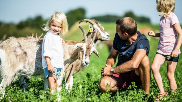 Dad and kids meeting the goats at Øko  Ged & Grønt