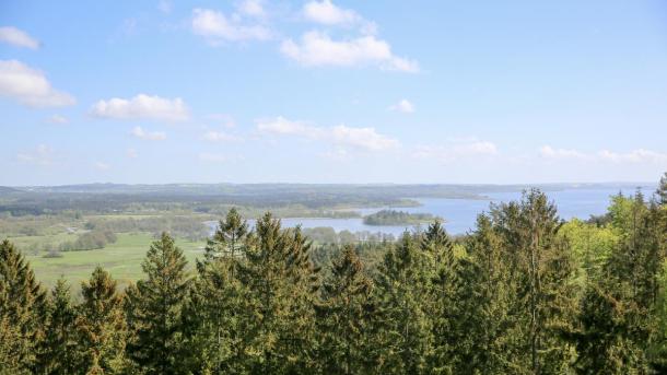 The Landscape at The Sugar Loaf
