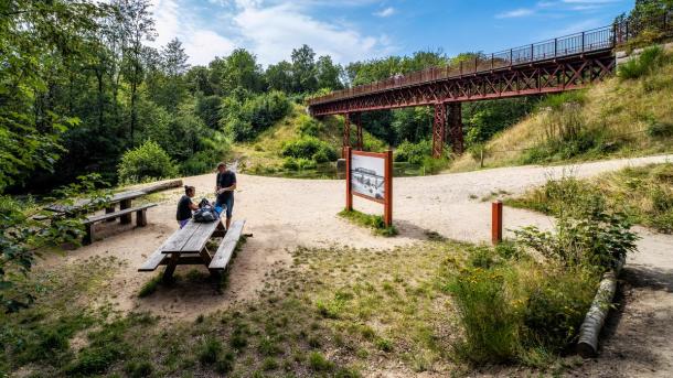 Couple at The Uncovered Bridge