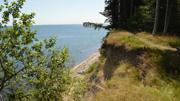 Snaptun-Juelsminde Coastal Path