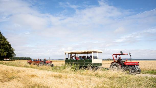 Red tractor guided tour on Hjarnø