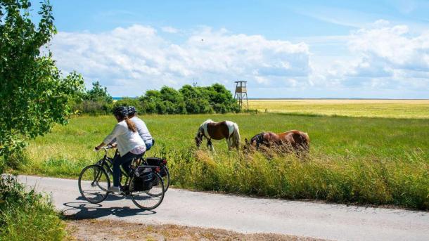 Two cyclists on the island of Endelave