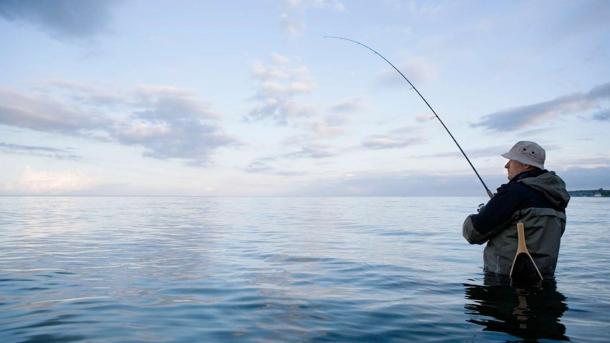 An angler fishing from the coast in Destination Costal Land