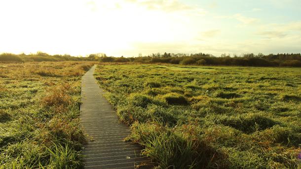 Brigde on the Gudenå path that goes through Uldum Marsh