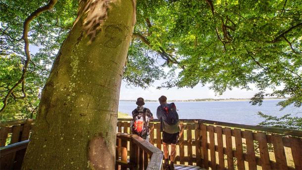 Two men enjoy the view of Horsens Fjord from the observation tower by the Coastal Path