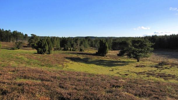 Heather hills at Ryhule near Salten Lang Lake